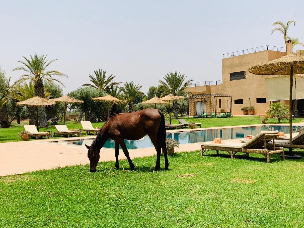 Hotel Marrakech Retreat Srarhna Exterior foto